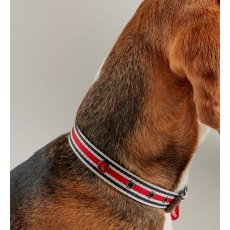 Joules Striped Dog Collar