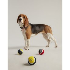 Joules Outdoor Balls 3 Pk