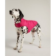 Joules Quilted Dog Coat