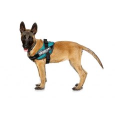 Julius K9 Idc Dog Powerharness