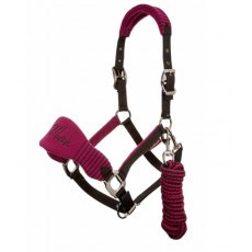 Multicoloured with brassed fittings Elico Matterdale Headcollar 
