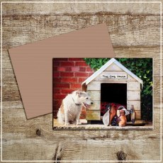 Kitchy & Co Greetings Card In The Dog House