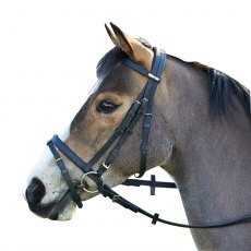 Wintec Bridle With Flash Black