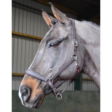 John Whitaker Ready To Ride Leather Headcollar