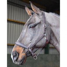 John Whitaker Ready To Ride Leather Headcollar