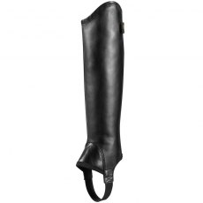 Ariat Concord Half Chaps