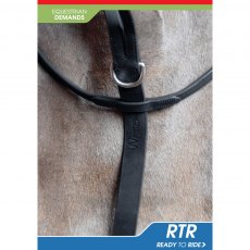 John Whitaker Running/ready Martingale Ride