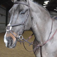 John Whitaker Running/ready Martingale Ride