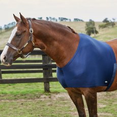 Weatherbeeta Stretch Shoulder Guard