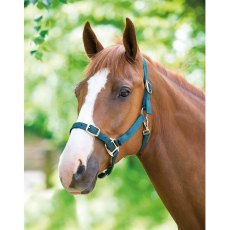 Shires Adjustable  Headcollar