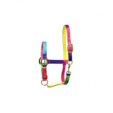 Elico Matterdale Rainbow Headcollar