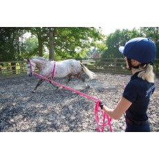 Shires Nylon Web Side Reins With Elastic Brown