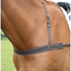 Shires Elastic Breastgirth