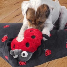 Zoon Ladybug Dog Toy