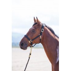 Shires Topaz Nylon Headcollar