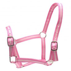 Roma Headcollar & Lead Set