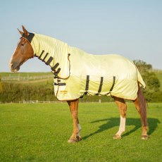 Equilibrium Field Relief Fly Rug