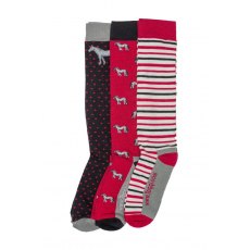 Toggi Ladies 3 Pack Socks