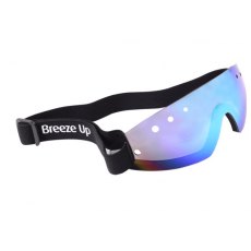 Celtic Equine Breeze Up  Goggles