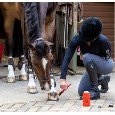 Carr Day Martin  Hoof Oil