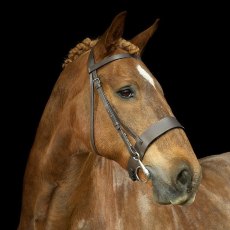 Gallop Hunt Bridle