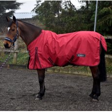 Whitaker Tanfield 50g Turnout Rug