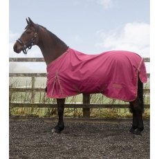 Whitaker Exley 0g Turnout Rug