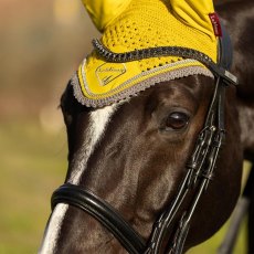 LeMieux Classic Lycra Fly Hood Dijon