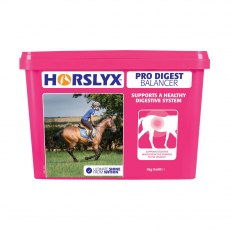 Horslyx Pro Digest Balancer