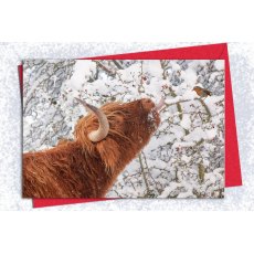 Kitchy & Co Christmas Card 5pk