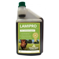 Global Herbs Lamipro Liquid 1l