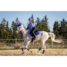 LeMieux Loire GP Saddle Pad Bluebell