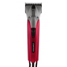 Liveryman Black Beauty Mains Professional Clipper