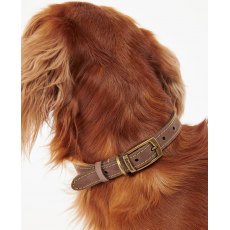 Barbour Leather Dog Collar