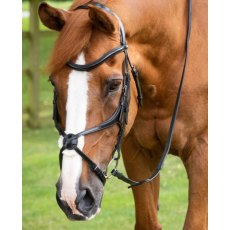 Premier Equine Glorioso Grackle Bridle Black