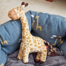 Zoon Junior Giraffe