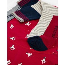 JOULES Put A Sock In It Sock & Boxer Gift Set
