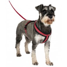 Halti Comfy Harness