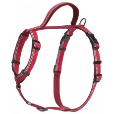 Halti Walking Harness