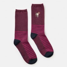 Joules Single Socks Everyday - 4-7