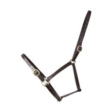 Leather Foal Headcollar