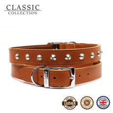 Ancol Dog Collar Studded - 24