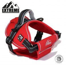 ANCOL EXTREME HARNESS - LARGE