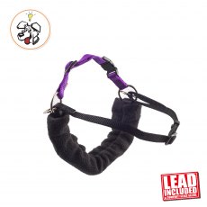 Ancol Pdl Harness & Lead - Large