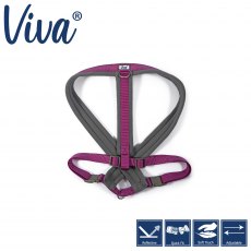 Ancol Viva Padded Harness - Xl/70-98cm