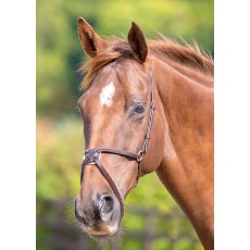 Shires Velociti Mexican Grakle Noseband