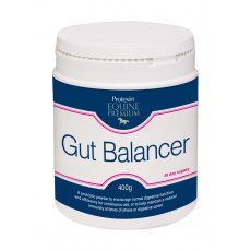 Protexin Gut Balancer - 400g