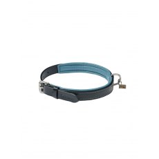 LeMieux Windsor Dog Collar -  M/l/xl