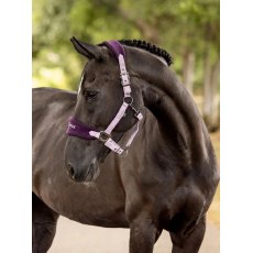 LeMieux Vogue Headcollar - Fig/Marine