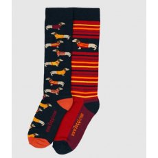Toggi Womens Dachshund Sock 2pk Navy / Orange